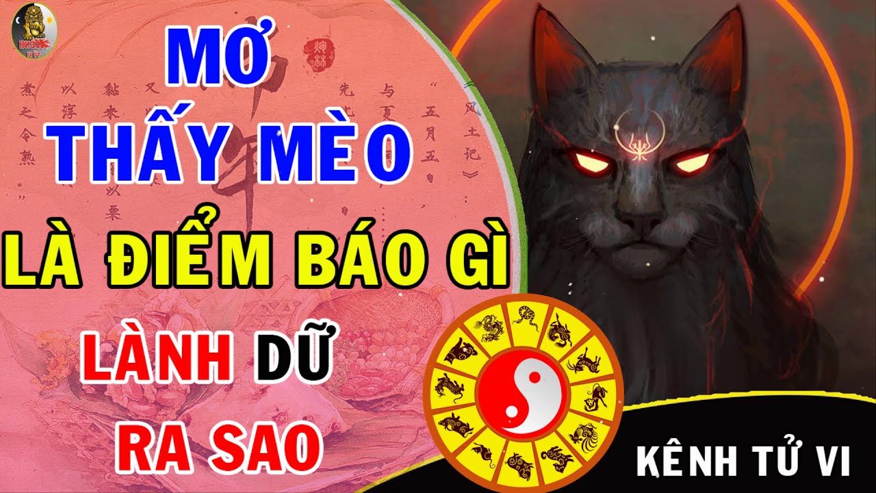 Con Mèo Đen là Số Mấy Tìm Hiểu Về Ý Nghĩa và Truyền Thuyết Xung Quanh