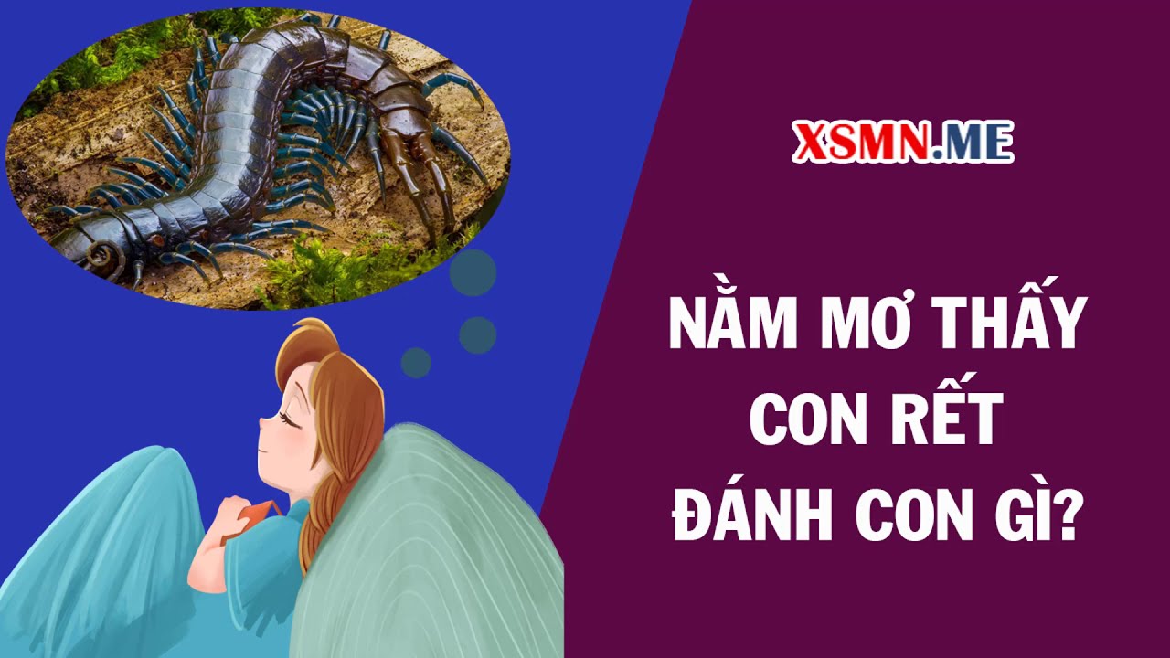 Số Đề Con Nít Là Số Mấy? - Tìm Hiểu Về Cách Xác Định Số Đề Cho Trẻ Em